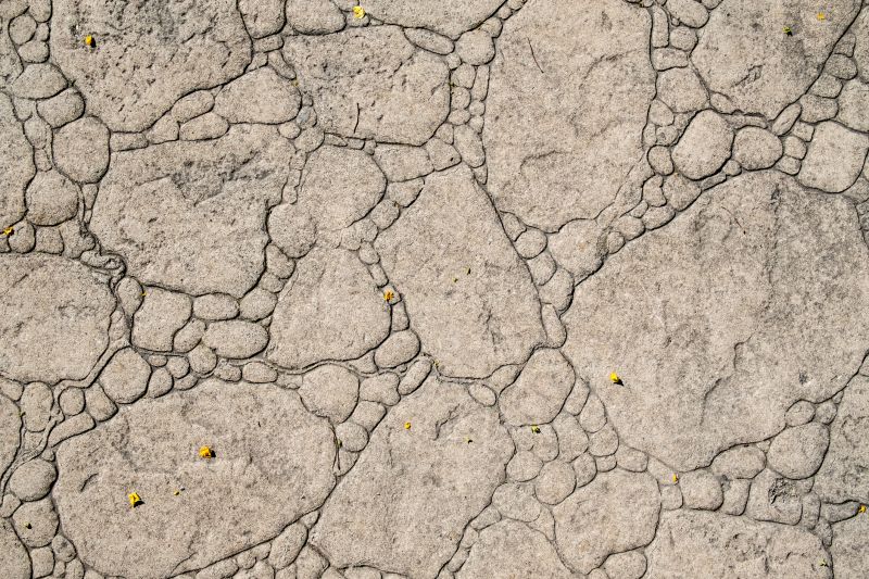 Decorative Concrete Repair in Corpus Christi, TX