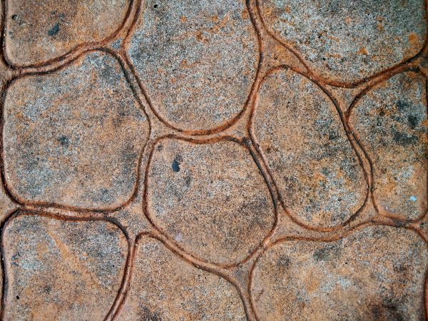 Stained Concrete Service